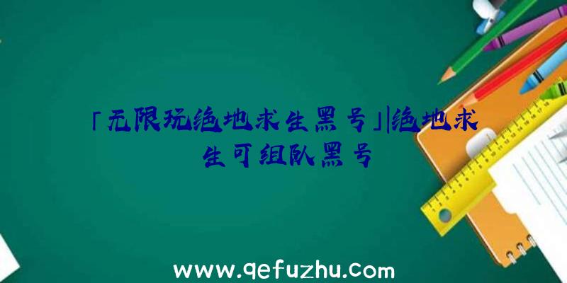 「无限玩绝地求生黑号」|绝地求生可组队黑号